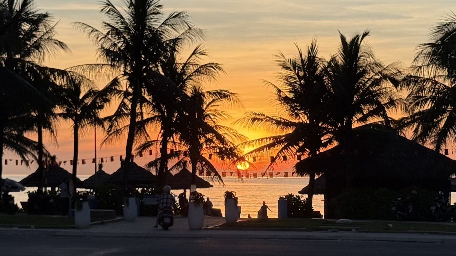 Sunrise behind the palms, 5:21 am.