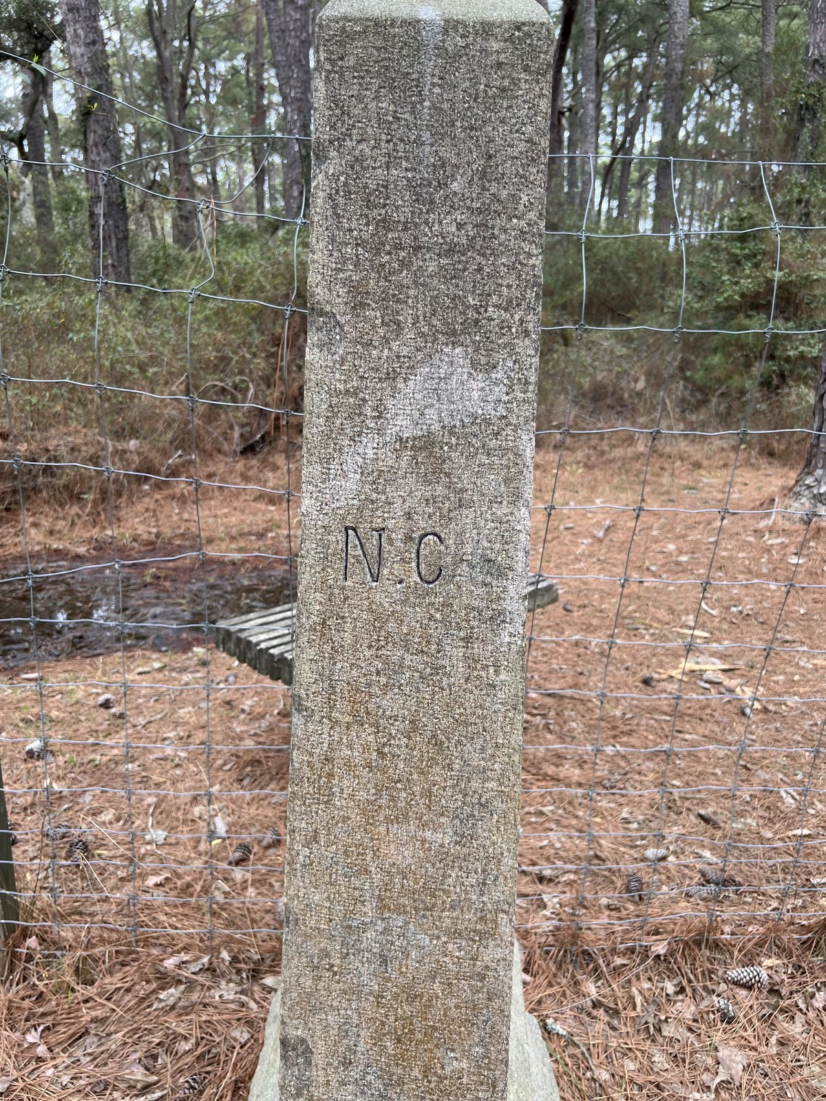The North Carolina line, in the pines at the top of the Outer Banks.