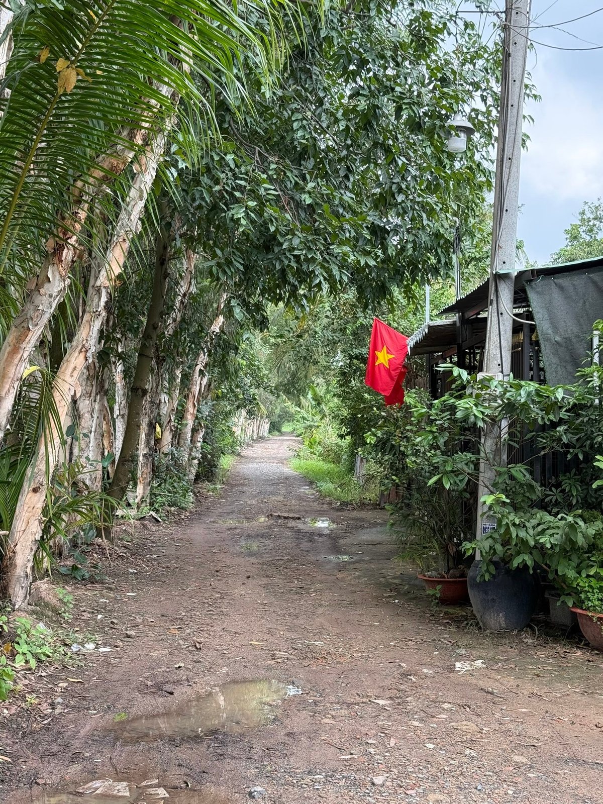 The dirt lane, and a flag among the potted plants.