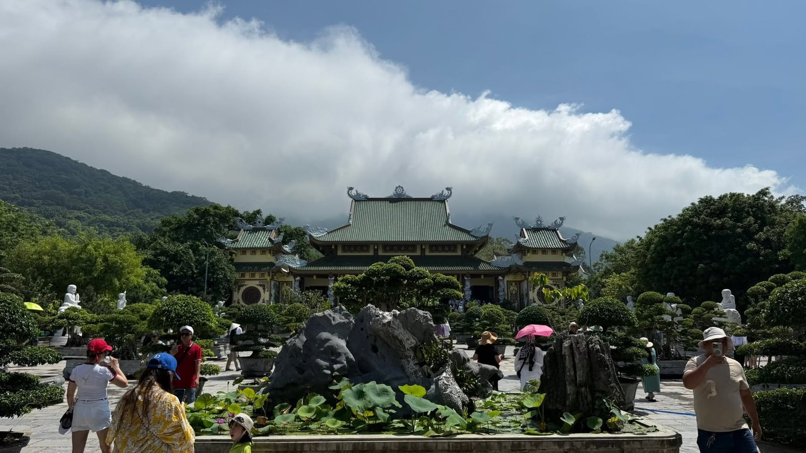 The bonsai garden, the main hall, and the clouds on the mountain.