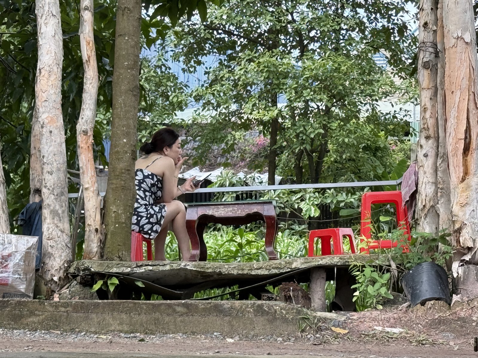 The spot under the trees, before anyone else showed up.