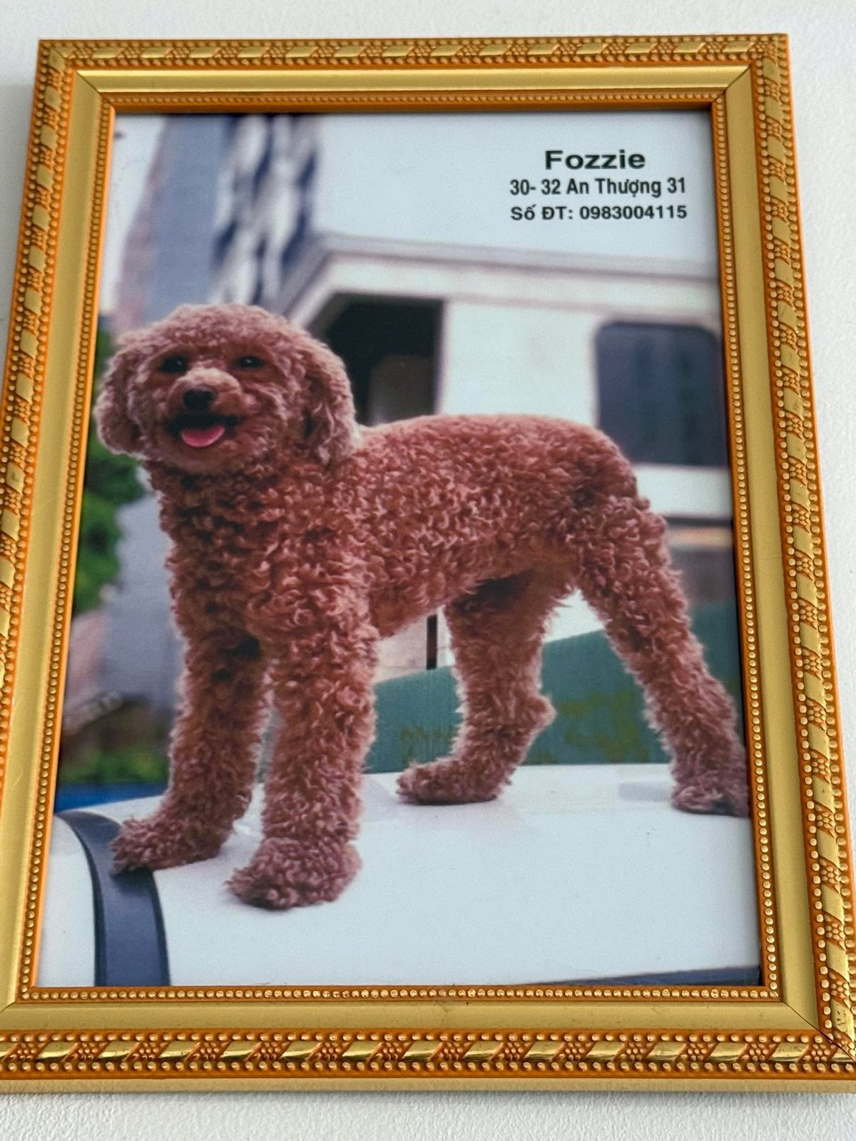 The official portrait.