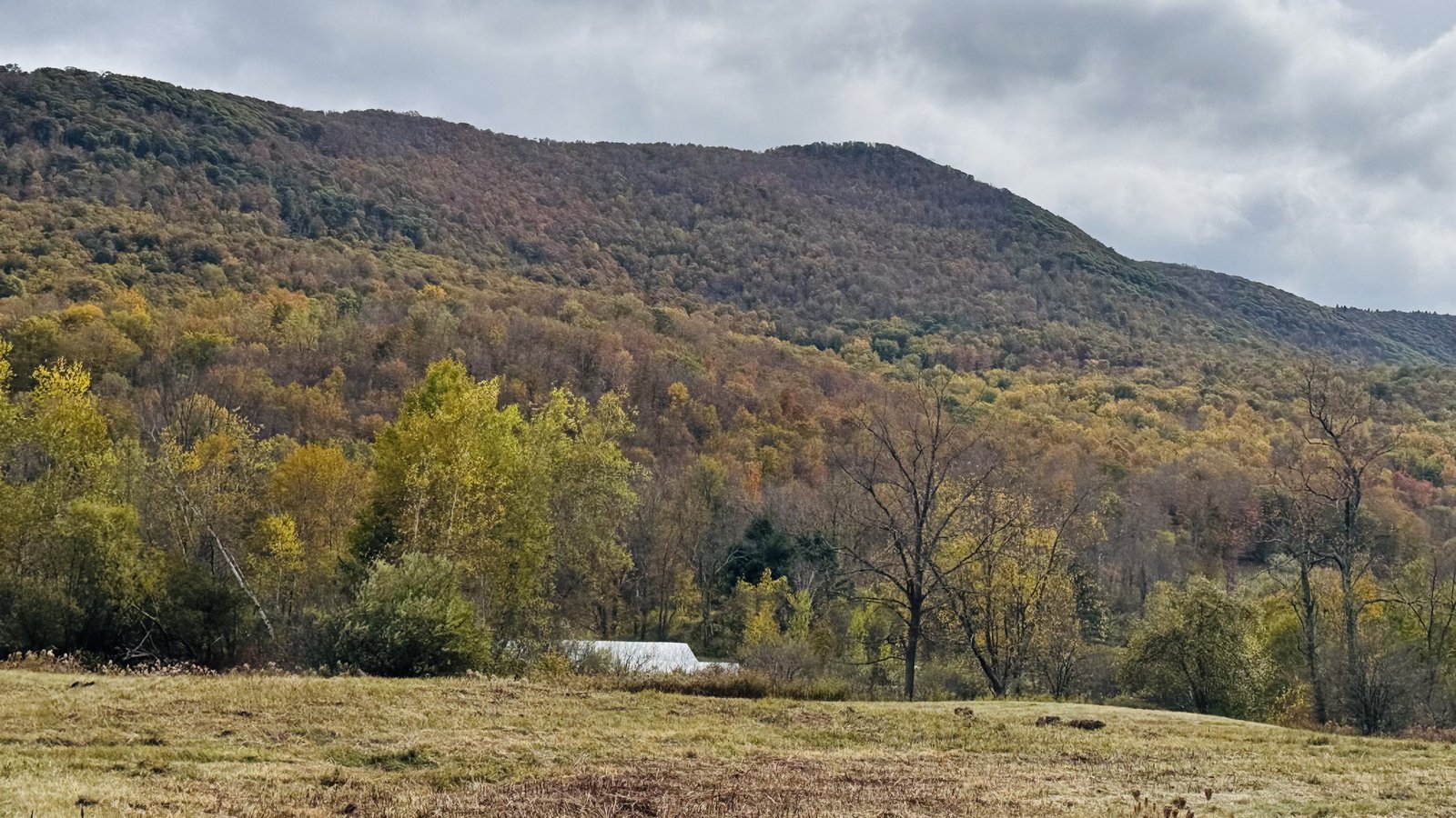The hills in the early afternoon.